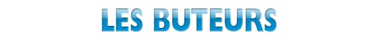 Les Buteurs